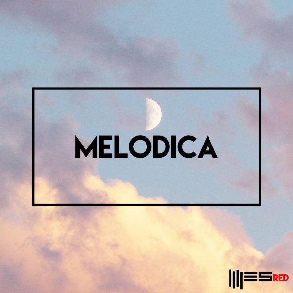 ESRED MLDCA Cover 1