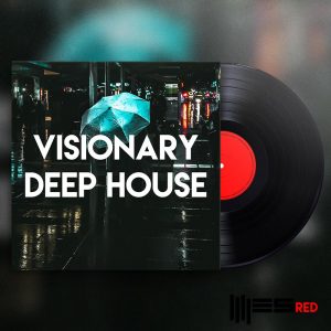 ESR VIDH Cover 1
