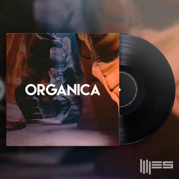 ES ORGA Cover 1