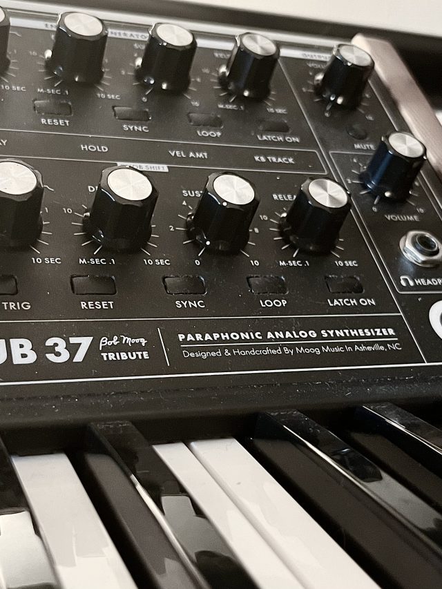 a moog sub37